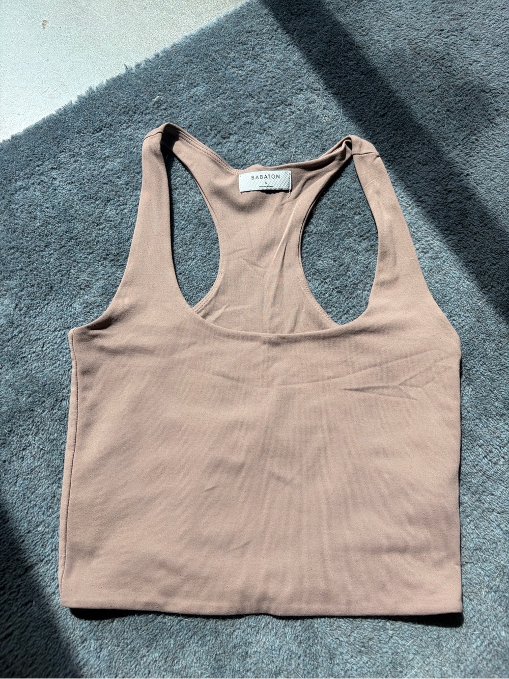 Aritzia Babaton Tank